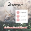 Stretch 商事 guru-minguguro-bu Pet Brush Dog Cat Brush & Easy