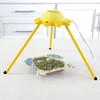 Creativity for Kids 6122 "Grow Puppy Grow Kit