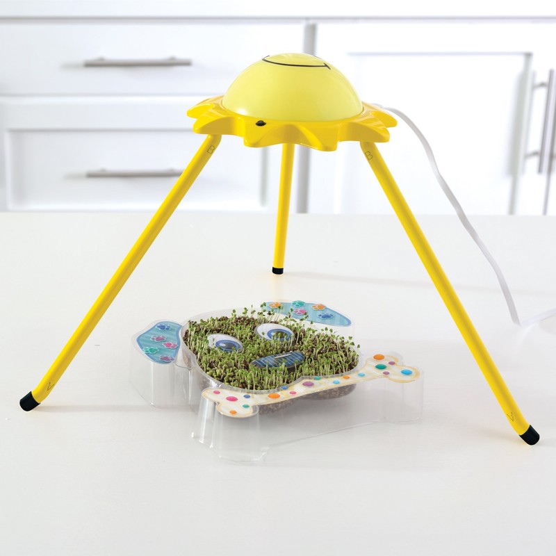 Creativity for Kids 6122 "Grow Puppy Grow Kit
