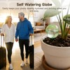 Toyosport 6 Pcs Self-Watering Globes, 17 oz Automatic Plant Watering