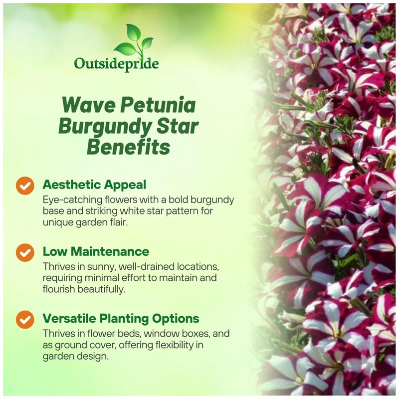 Outsidepride Burgundy Star Easy Wave Petunia Seeds - 15 Pcs.