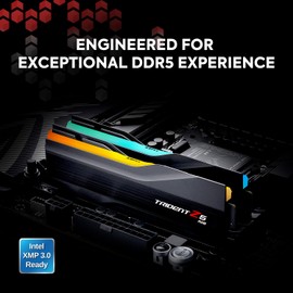 G.SKILL Trident Z5 RGB Series (Intel XMP 3.0) DDR5 RAM 64GB (2x32GB) 5600MT/s CL28-34-34-89 1.35V Desktop Computer Memory UDIMM - Matte Black (F5-5600J2834F32GX2-TZ5RK)
