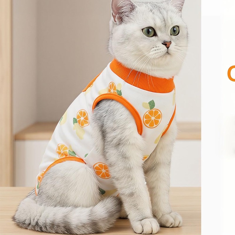 CELONROMF 2-Pack Pet Post-Surgery Recovery Suit for Cats Dogs, Abdominal