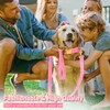 GAMUDA Collar y correa de terciopelo para perro, súper suave