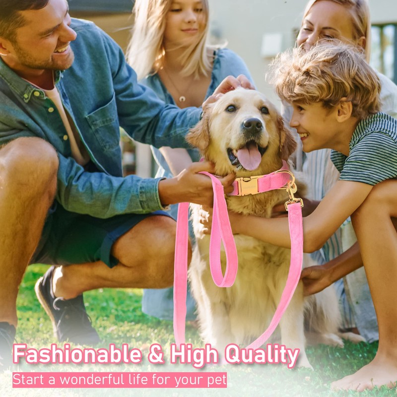 GAMUDA Collar y correa de terciopelo para perro, súper suave