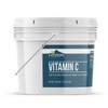 Earthborn Elements Vitamin C Powder (1 Gallon)