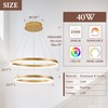 Sparklelf Modern LED Chandelier Gold 2-Rings Pendant Light Circular Flush