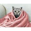 Cuddly, Fluffy Blanket, 160 x 210 cm, XL Fleece Sofa