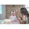 Miniland 89338 Baby Haircare Chip, Beige