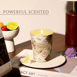 HomeLights Large jar Candle | 1-Wick Long-Lasting Scented Candles, 6.7oz Natural Soy Wax Candle for Home Scented, Rustic Modern Gifts for Women & Men, Candied Apple Cinnamon