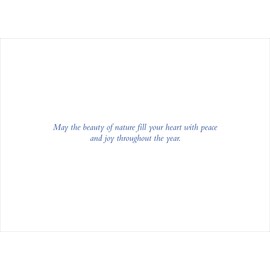 Winter Tree Deluxe Boxed Holiday Cards (20 cards, 21 self-sealing envelopes)