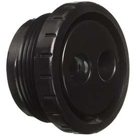 Waterway 212-9171 Spa Rotating Eyeball, Black