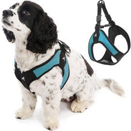 Gooby Gooby - Escape Free Easy Fit Harness, Small Dog Step-In Harness for Dogs that Like to Escape Their Harness, Turquoise, Medium