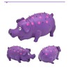 ZHENJIER Squeaky Pig Dog Toys, 2 Pack Grunting Pig Dog