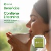Té Matcha Ceremonial 1kg Grado Puro-matcha Japón. ¡orgánico!
