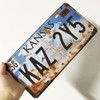 Panguru 2 Pieces Prop License Plates from Supernatural, Metal Stamped
