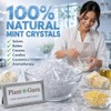 MENTHOL CRYSTALS Mentha Arvensis 100% PURE USP Grade 60ml