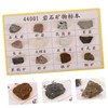 KICHOUSE Geology Classroom Essential 12 Piece Mineral Rock Specimen Kit
