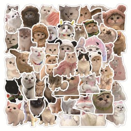 Pack of 60 Cat Stickers Car Laptop Phone Guitar Skateboard Motorcycle Bicycle Cat Stickers Set Vinyl Waterproof Aesthetic Stickers for Teenagers Children Adults