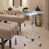 Salon Tray Beauty Rolling Cart,Height Adjustable Premium Aluminum Salon Tattoo