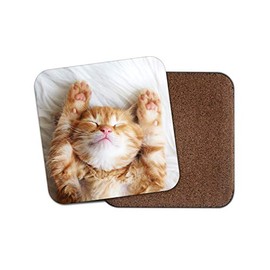 1 x Cute Kitten Coaster - Ginger Cat Pet Funny Mum Sister Auntie Pet Fun #13113