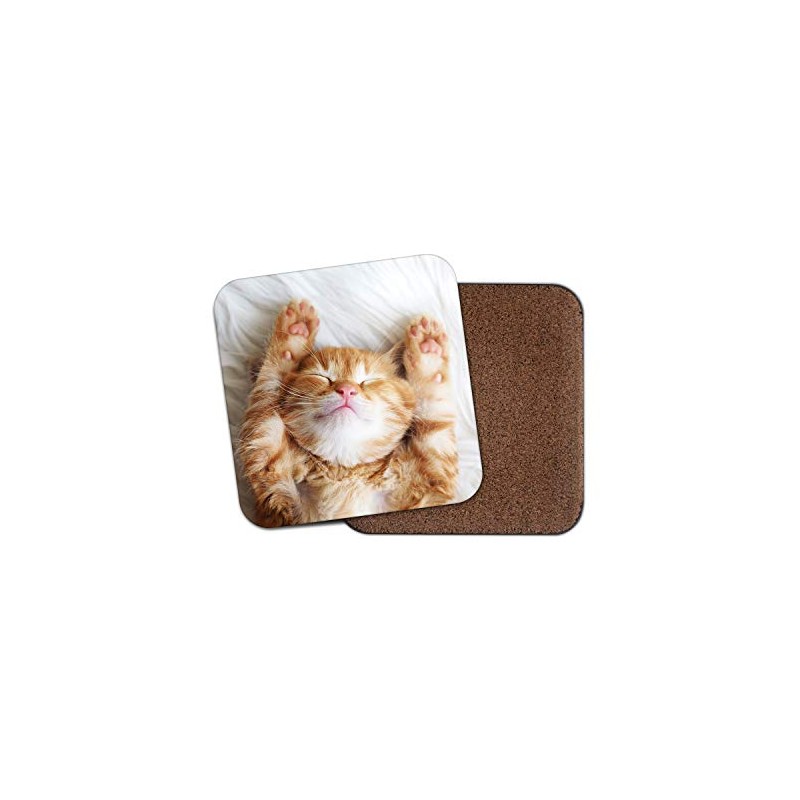 1 x Cute Kitten Coaster - Ginger Cat Pet Funny