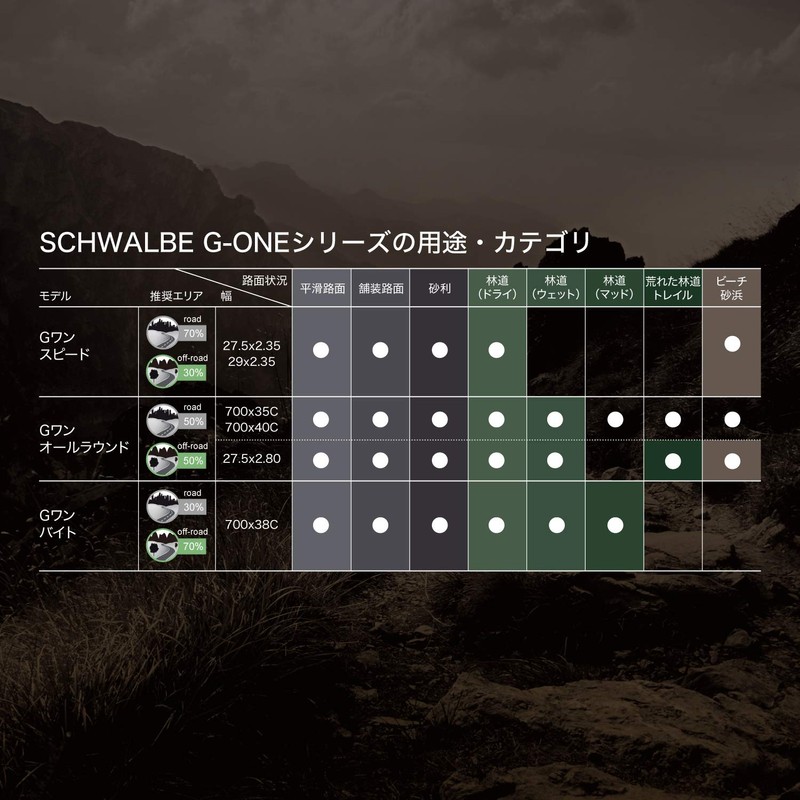 Schwalbe Unisex - Adult G-One Bite HS487 Bicycle Tyre, Black,