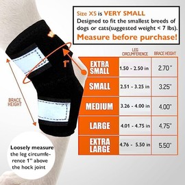NeoAlly Super Supportive Dog Braces for Rear Leg and Hock Joint with Dual Metal Spring Strips Stabilize Canine hind Legs from Wound, Injury, Sprains, Arthritis (XS Pair)