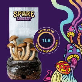 SPORE SORCERY 2 LB All-in-One Grow Bag: Up to 16oz of Mushrooms! Nutrient-Enhanced, Injection Port, Just Add Your Own Spores & Grow Like Magic