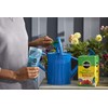 Miracle-Gro All Purpose Plant Food Plant Fertilizer (6 Pack), 3