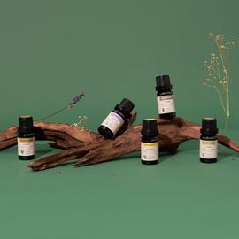 Alizé USDA Organic Lavender Essential Oil, 100% Natural & Pure Lavender Essential Oils for Diffusers for Home, Aromatherapy Oils, Diffuser Oils Scents, Relaxing Organic Essential Oils, 10ml-0.33 fl oz