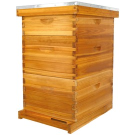 POLLIBEE 10 Frame Langstroth Beehive, Beeswax Coated Bee Hives for Bee Keeper,Beehive Include 2 Deep Bee Boxes and 1 Medium Bee Hive Box with Frame and Foundation(Unassembled)