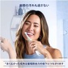 IORBTG-2EL iO Target Clean Replacement Brush (2)