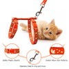 Cat Harness and Leash Set Gold Moons Soft Nylon Escape