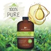 Tea Tree Essential Oil - Huge 4 FL OZ -