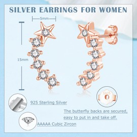 Zolkamery Sterling Silver Stud Earrings, 925 Silver Star Stud Earrings for Women, Rose Gold Studs Earring with Zirconia, Hypoallergenic Cartilage Sleeper Ear Studs Earring, Gifts for Girls Children