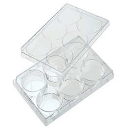 Celltreat 229105 6 Well Tissue Culture Treated Multiple Plate with Lid, Sterile, 9.60 cm2 Cell Growth Area, Individual Pack, Clear (Pack of 50)
