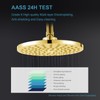 OFFO Shower Arm with Flange, 6 in Bright Gold Wall