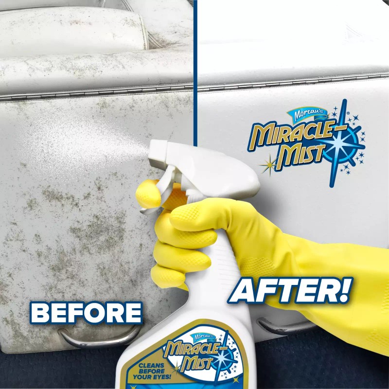 Miraclemist Instant, Mold and Mildew Spray Remover for RV and