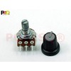 POPESQ® 1 x Potentiometer with Cap 22K Linear PCB #A3187