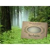 Herbaria Silver Fir & Lavender Handcrafted All-Natural Soap with Essential