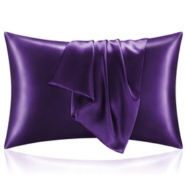 BEDELITE Satin Pillowcase with Zipper 2 Pack, Plum Purple Pillow Cases Standard Size, Super Soft and Cooling Similar to Silk Pillow Cases, Gift for Women Men(20x26 Inches)