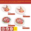 3 Pcs Biodegradable Wood Pulp Cellulose Compressed Cleaning Sponge Premium