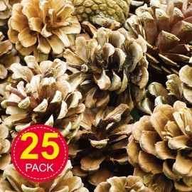 Baker Ross AF923 Natural Pine Cones, Ideal for Arts and Crafts Projects, Collage or for Decoration (Pack of 25)