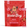 Waterboy Daily Hydration Electrolyte Powder – 15 Stick Packs x