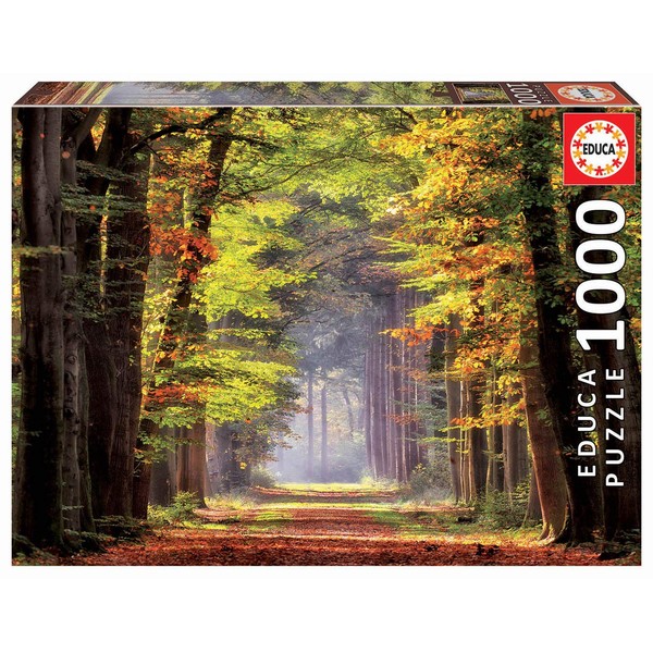 Educa - Fall Walkway - 1000 Piece Jigsaw Puzzle - Puzzle Glue Included - Completed Image Measures 26.8" x 18.9" - Ages 14+ (19021)