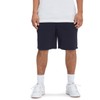 DC Shoes Riot Men's Shorts
