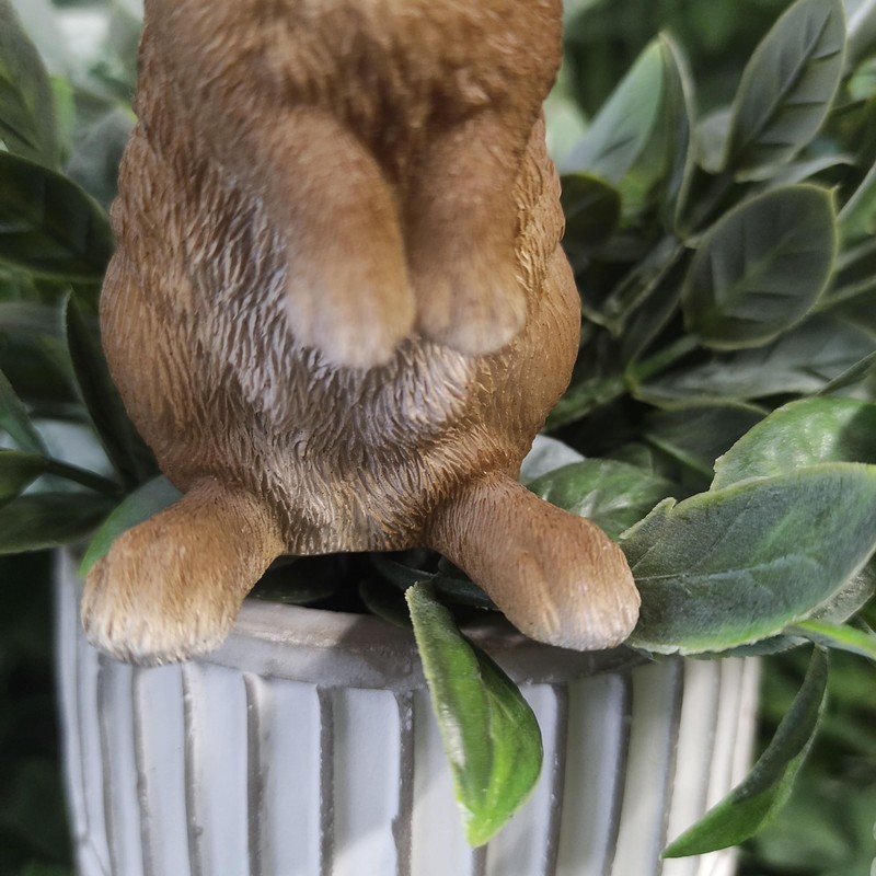 Vivid Arts PLP-127 Lookout Rabbit Plant Pal