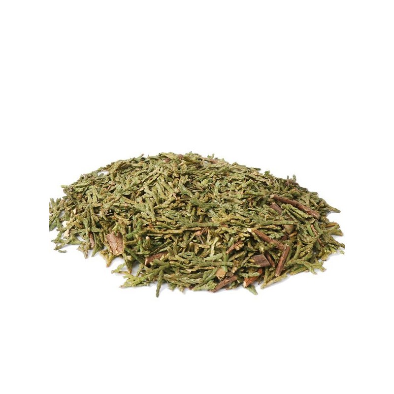 Donguihanjae 동의한재 국산 햇 편백잎 편백나무잎 300g Korean Domestic Fresh
