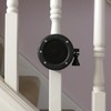 The Layer Laboratory Minirig MINI 1/2 Speaker Bungee & Belt